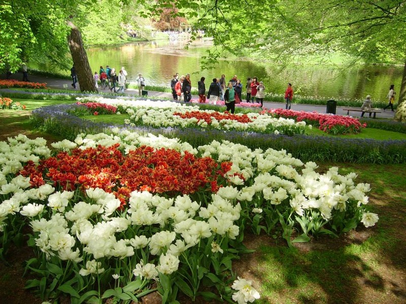 Květinové korzo – Keukenhof a Amsterdam